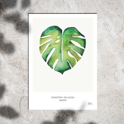Art Print - Watercolor Monstera Leaf Art Print - Watercolor Monstera Leaf