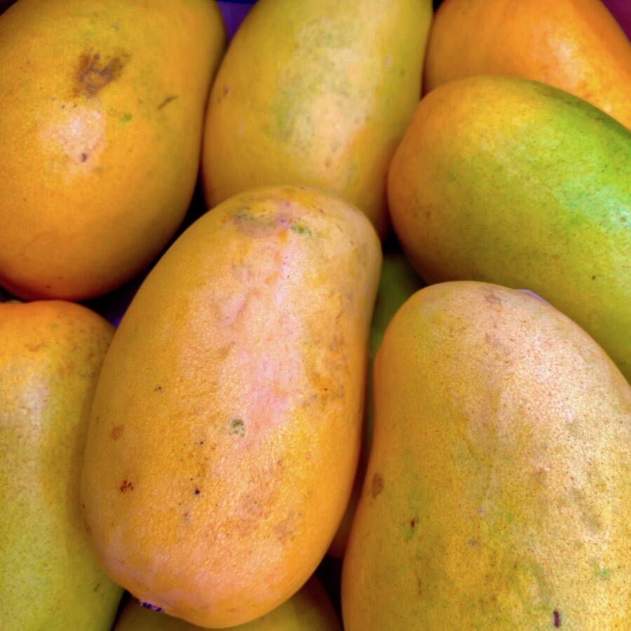 SWEET DEAL! Honey Mangoes EACH