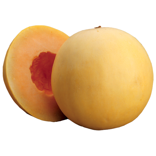 Orange Creamsicle Honeydew Melon, Large EACH