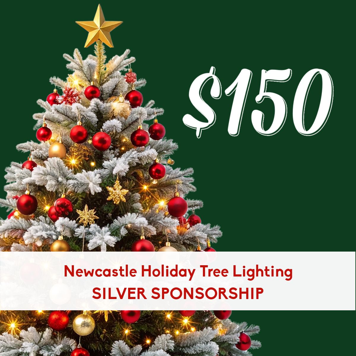 Newcastle Community Tree Lighting Sponsorship - Silver