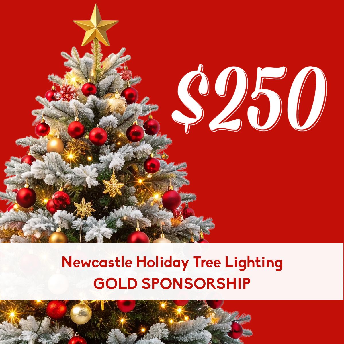 Newcastle Community Tree Lighting Sponsorship - Gold