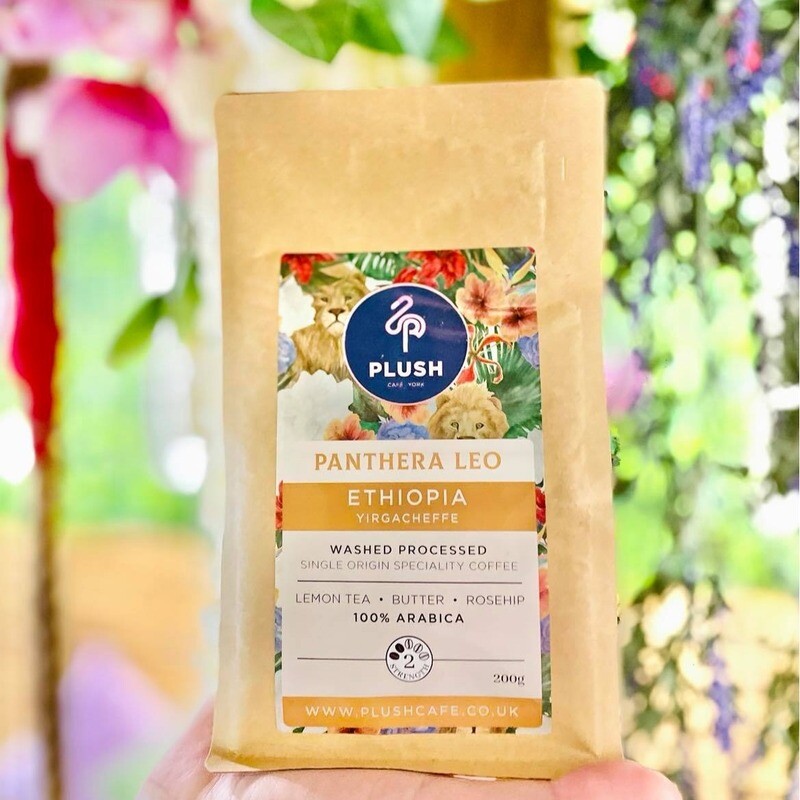 Panthera Leo - Ethiopia Yirgacheffe Coffee 200g