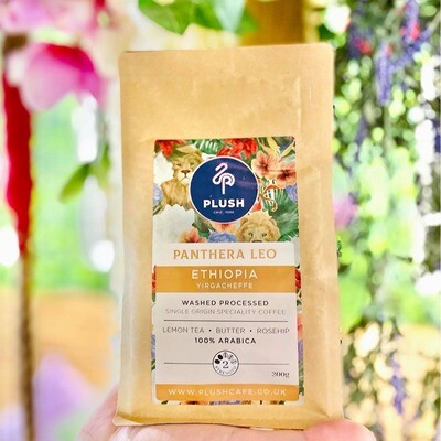 Panthera Leo - Ethiopia Yirgacheffe Coffee 200g