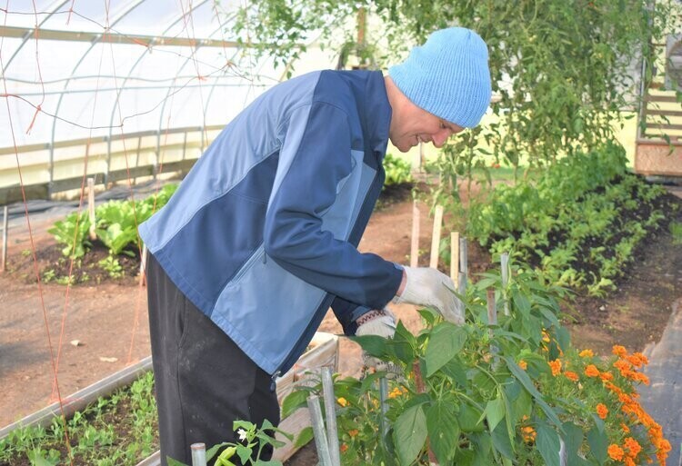 HT On the Road Bittersweet Farms