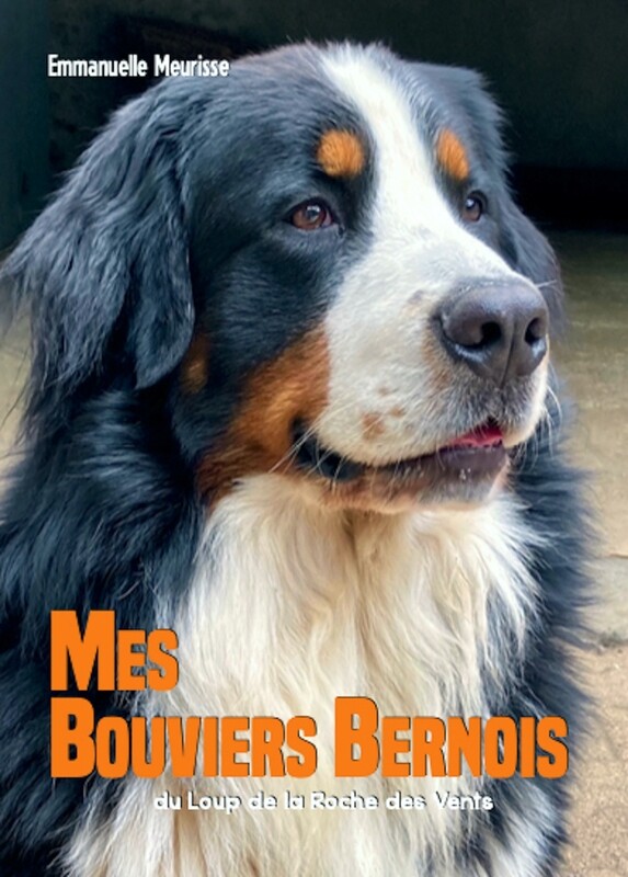 MES BOUVIERS BERNOIS