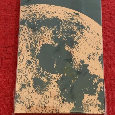 Little Lark - Moon Notebooks with Metallic Ink