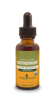 Motherwort Tincture 1oz by Herb Pharm