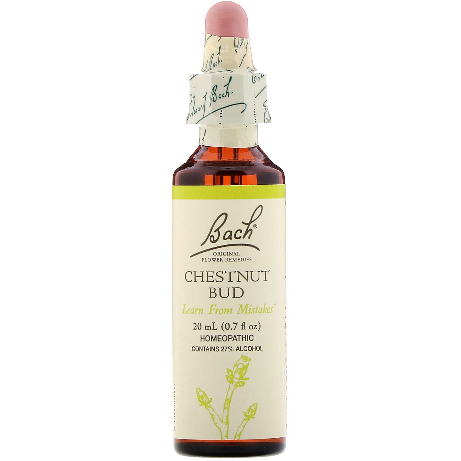 Chestnut Bud Bach Flower Remedy 20 ml