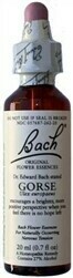 Gorse Bach Flower Remedy 20 ml