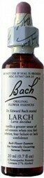 Larch Bach Flower Remedy 20 ml