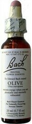 Olive Bach Flower Remedy 20 ml