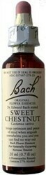 Sweet Chestnut Bach Flower Remedy 20 ml