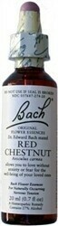 Red Chestnut Bach Flower Remedy 20 ml
