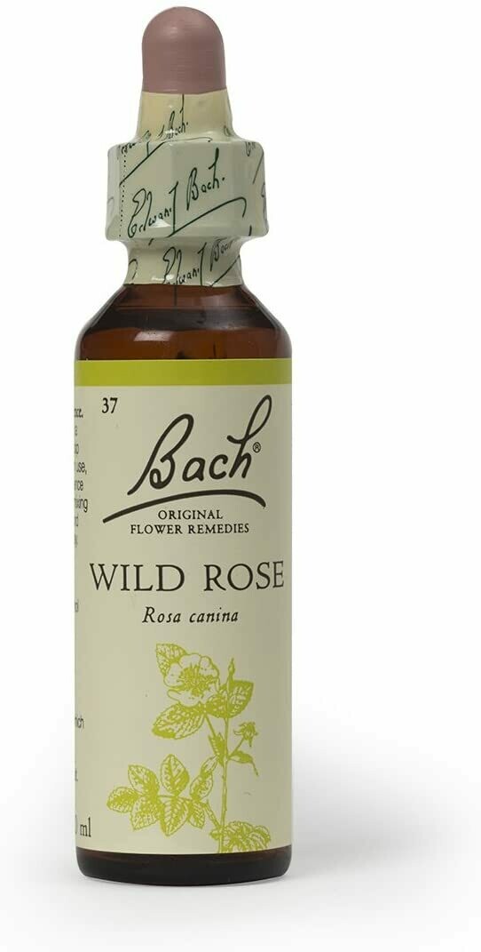 Wild Rose Bach Flower Remedy 20 ml