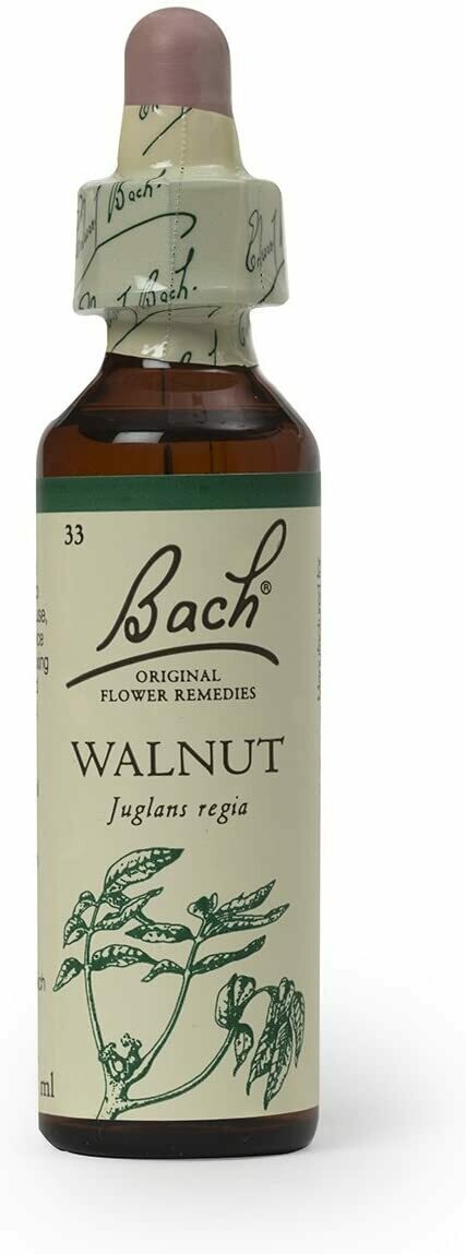 Walnut Bach Flower Remedy 20 ml