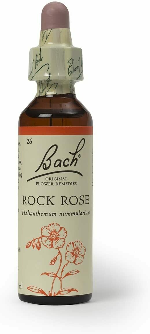 Rock Rose Bach Flower Remedy 20 ml