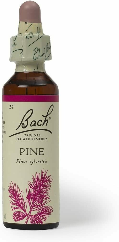 Pine Bach Flower Remedy 20 ml