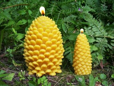 Beeswax Pinecone Candle by Sunbeam Candles