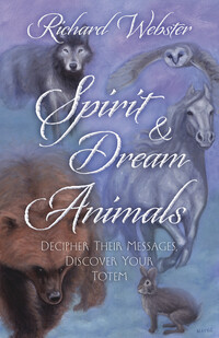 Spirit & Dream Animals