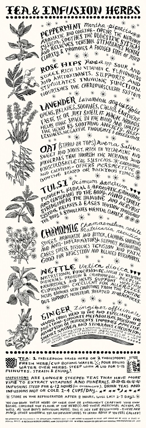 Tea and Infusion Herbs Poster