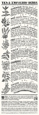 Tea and Infusion Herbs Poster
