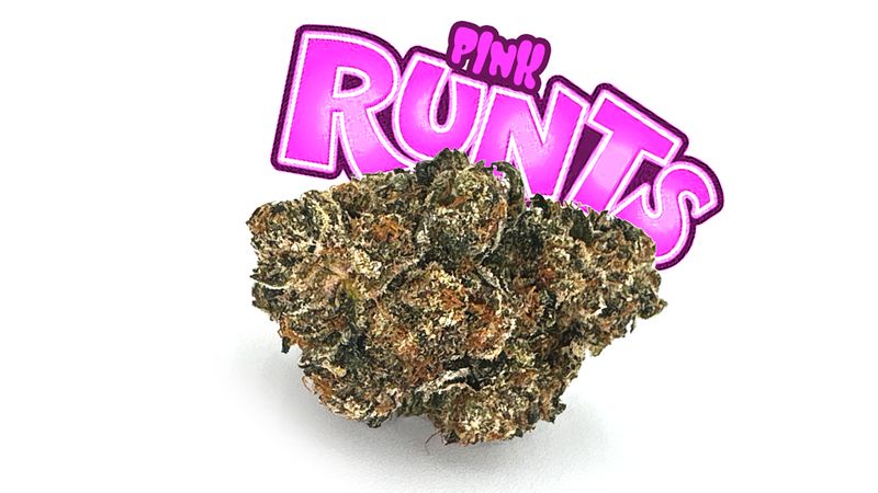 PINK RUNTZ 3.5G