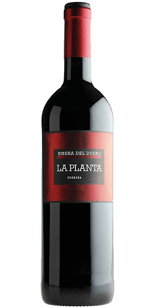 VINO TINTO LA PLANTA 75 R.DU.ROBLE