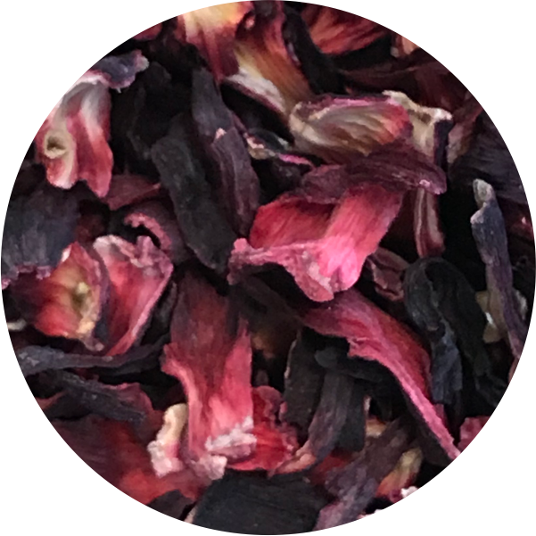 Fleurs d'hibiscus