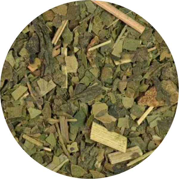 Guayusa matcha