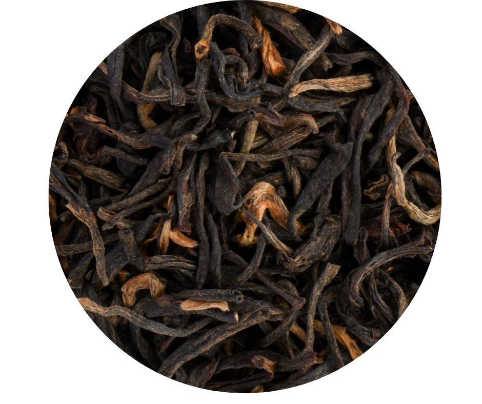 Putharjora Bio
