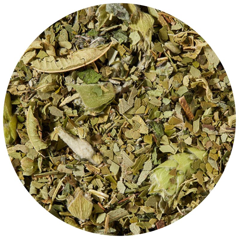 Fresh maté (Nature, rafraîchissant) Fresh maté (Nature, rafraîchissant)