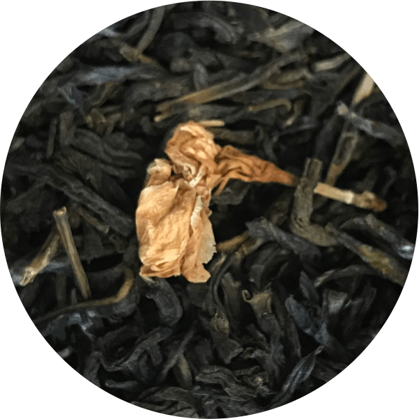 Fleur de jasmin (jasmin, floral)