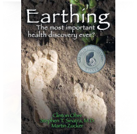 Earthing Book