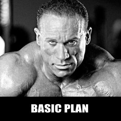 BASIC PLAN