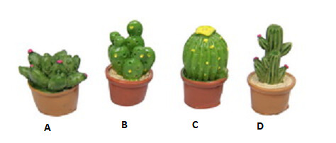 Cactus