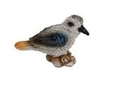 Kookaburra
