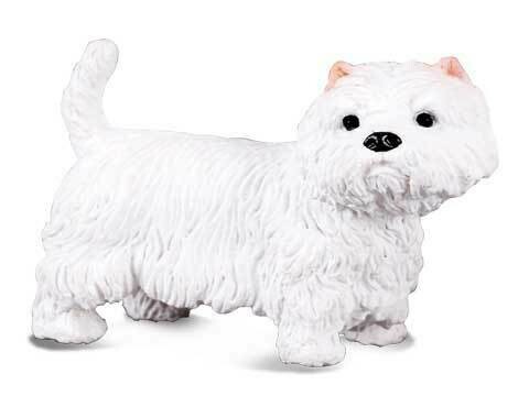West Highland Terrier