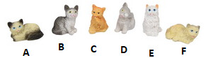 Assorted Cats
