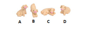 Pigs - Assorted, Variety: A
