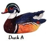 Decoy Duck