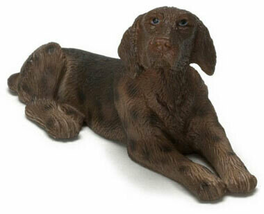 German Short-Haired Pointer