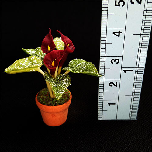 Potted Lily - Crimson