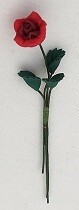 Single Rose - Red