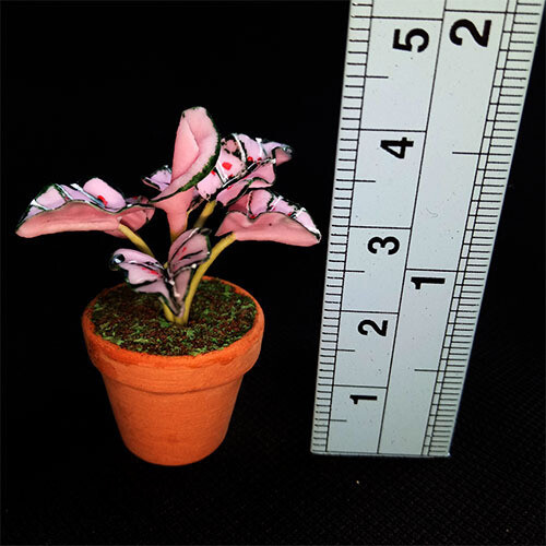 Potted Plant - Pink/Green Leaves