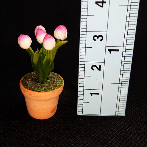 Potted Tulip - Pink/White