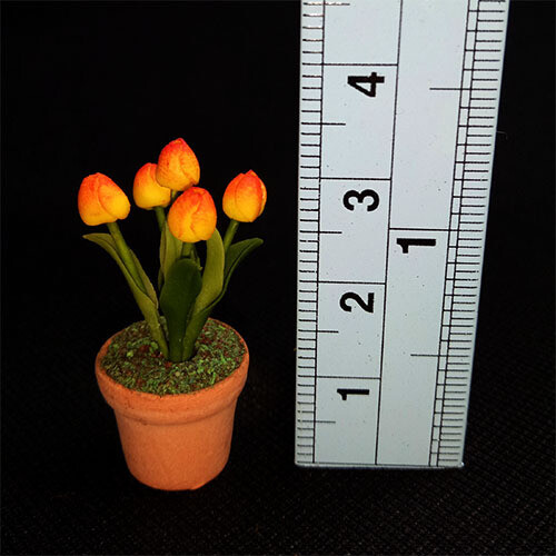 Potted Tulip - Orange