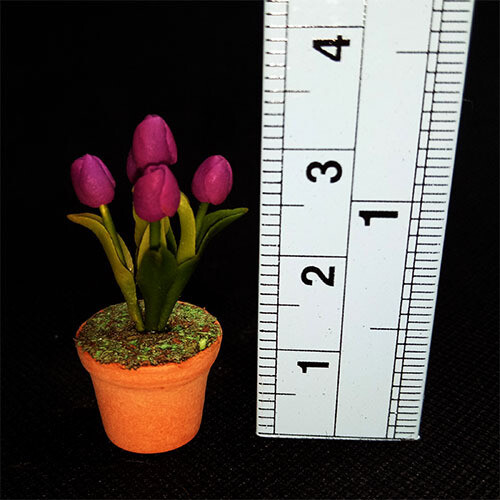 Potted Tulip - Crimson
