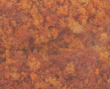 Foliage - Late Fall