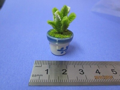 Porcelain Pot