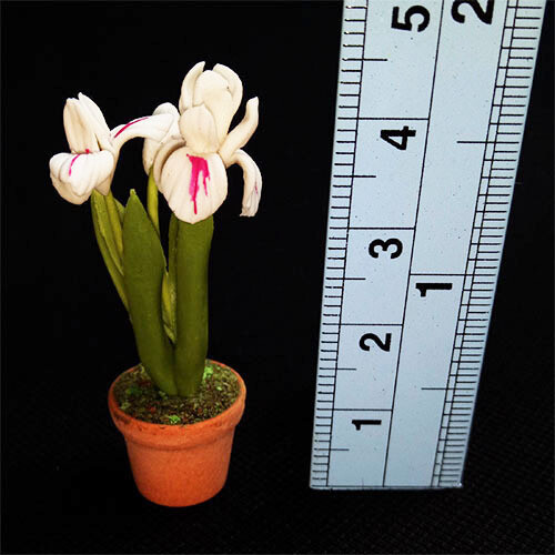 Potted Flower - Iris White